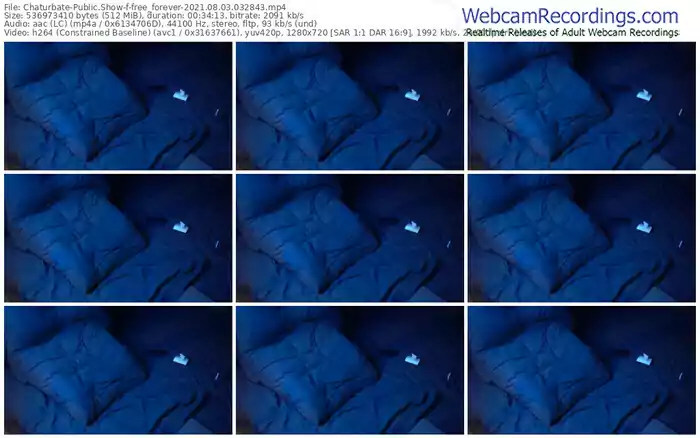 chaturbate-free_forever-08_03_2021-03_28_43