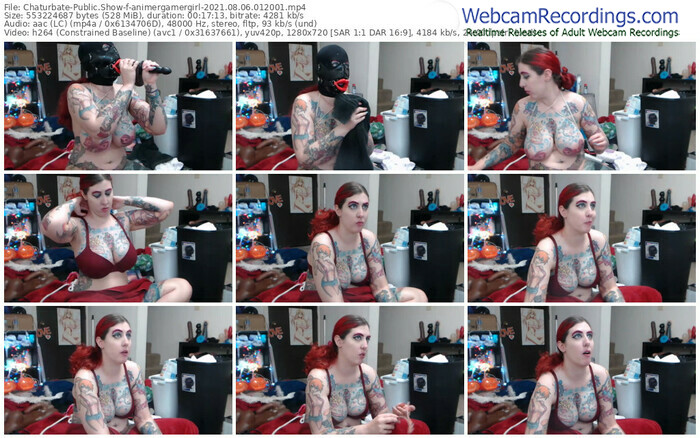chaturbate-animergamergirl-08_06_2021-01_20_01