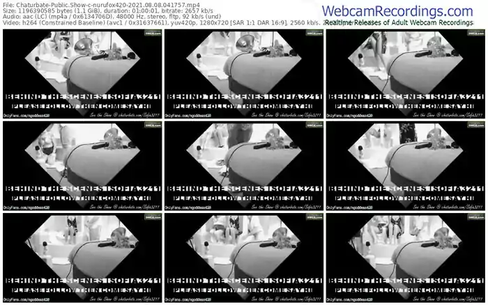 chaturbate-nurufox420-08_08_2021-04_17_57