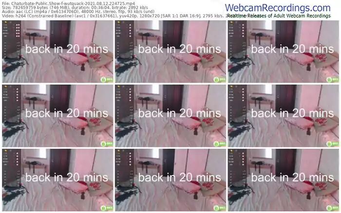 chaturbate-wutquack-08_12_2021-22_47_25