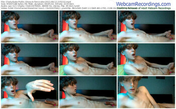 chaturbate-fencicake-08_12_2021-23_52_32