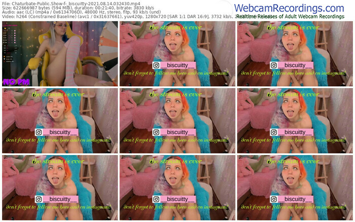chaturbate-_biscuitty-08_14_2021-03_24_30