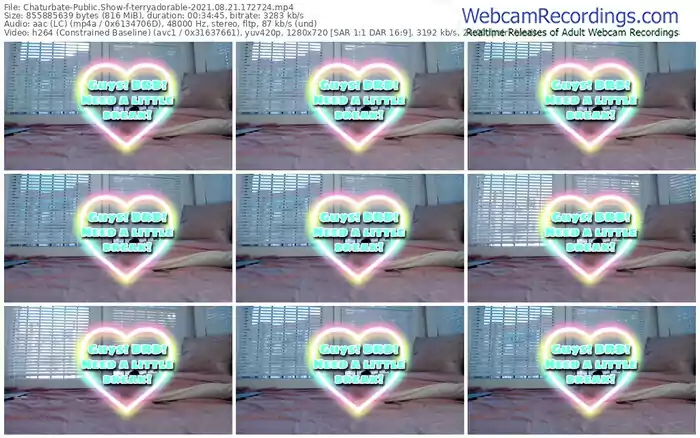 chaturbate-terryadorable-08_21_2021-17_27_24