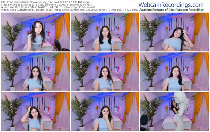 chaturbate-mary_marlow-08_22_2021-19_14_01