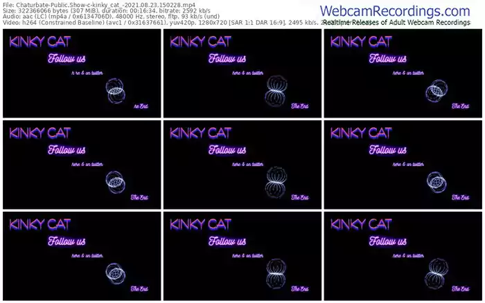 chaturbate-kinky_cat_-08_23_2021-15_02_28