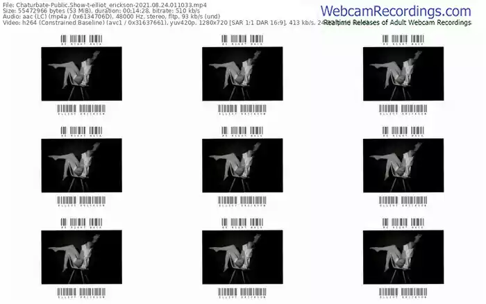 chaturbate-elliot_erickson-08_24_2021-01_10_33