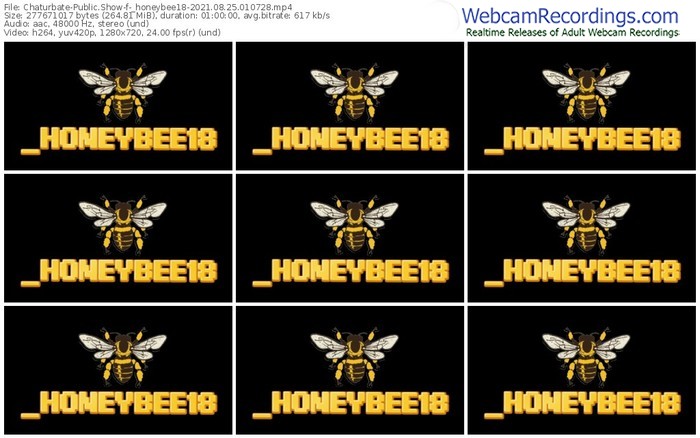 chaturbate-_honeybee18-08_25_2021-01_07_28