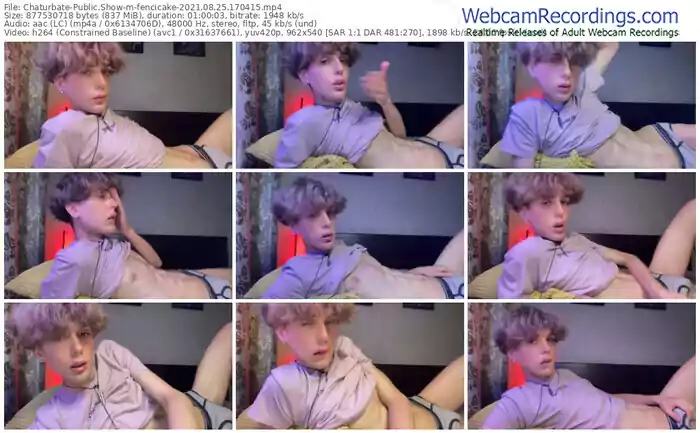 chaturbate-fencicake-08_25_2021-17_04_15