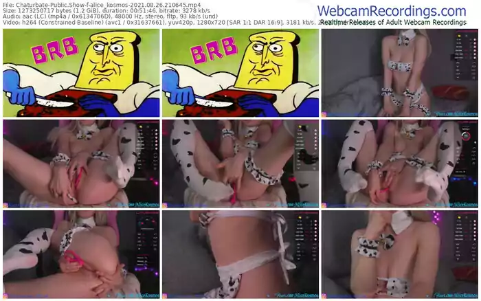 chaturbate-alice_kosmos-08_26_2021-21_06_45