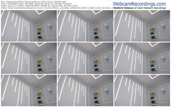 chaturbate-wild_lov-10_21_2021-14_42_40