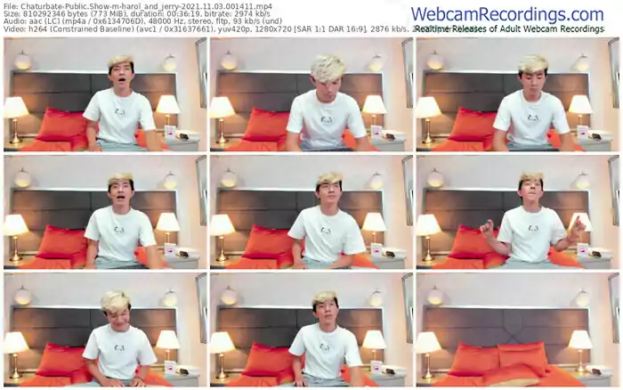 chaturbate-harol_and_jerry-11_03_2021-00_14_11