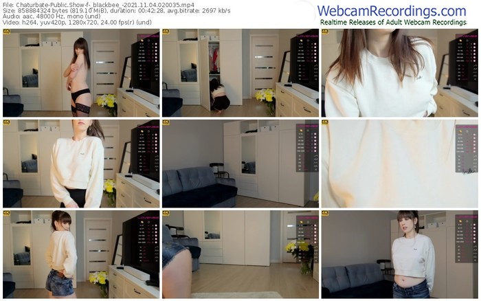 chaturbate-_blackbee_-11_04_2021-02_00_35