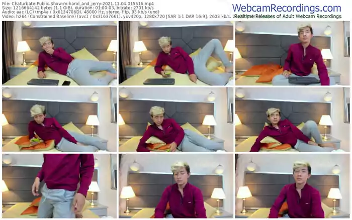 chaturbate-harol_and_jerry-11_04_2021-01_55_16