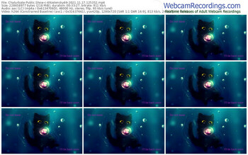 chaturbate-69zelensky69-11_17_2021-12_53_52