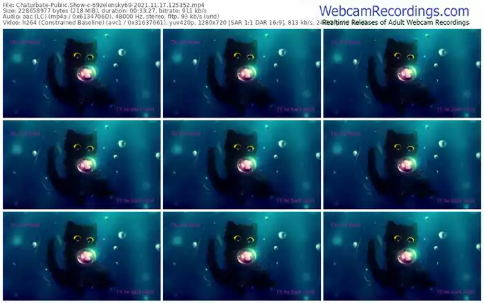 chaturbate-69zelensky69-11_17_2021-12_53_52