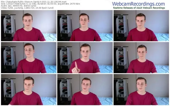 chaturbate-3andy3-11_20_2021-13_02_44