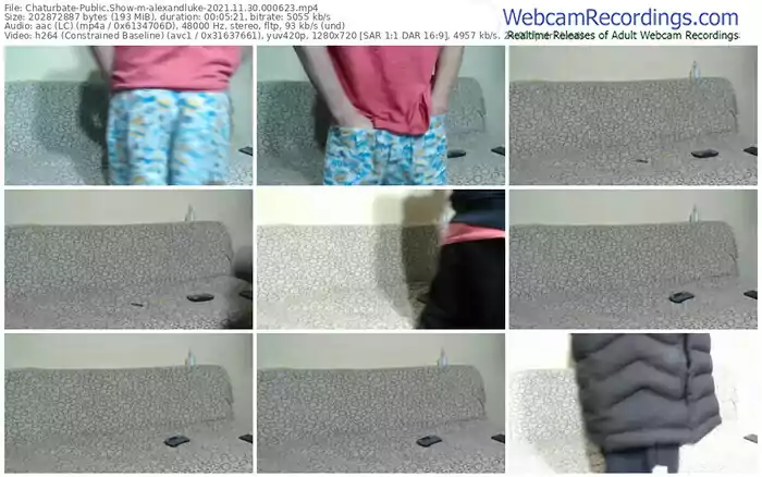 chaturbate-alexandluke-11_30_2021-00_06_23