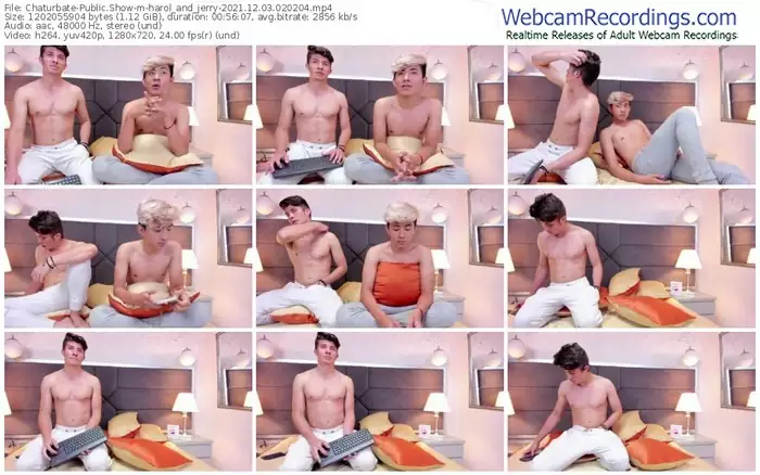 chaturbate-harol_and_jerry-12_03_2021-02_02_04