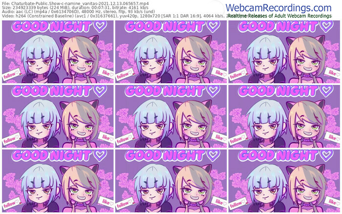chaturbate-namine_vanitas-12_13_2021-06_56_57