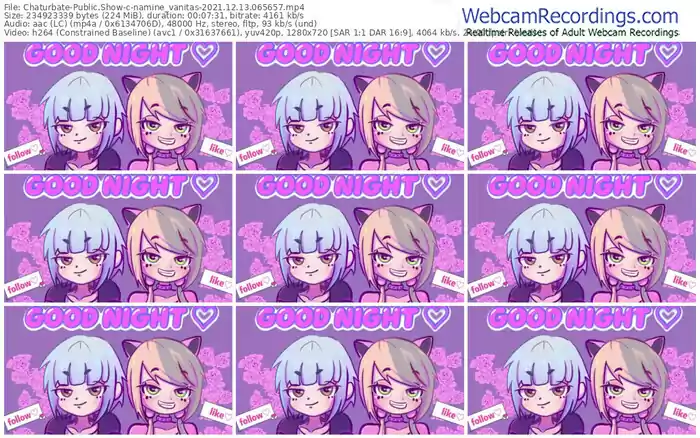 chaturbate-namine_vanitas-12_13_2021-06_56_57