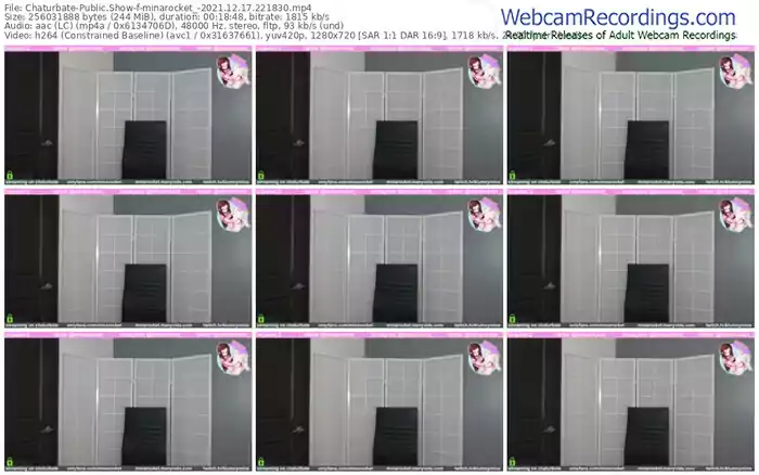 chaturbate-minarocket_-12_17_2021-22_18_30