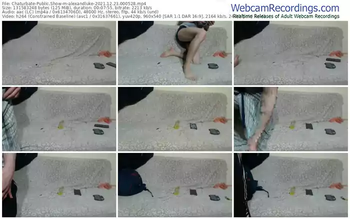 chaturbate-alexandluke-12_23_2021-00_05_28