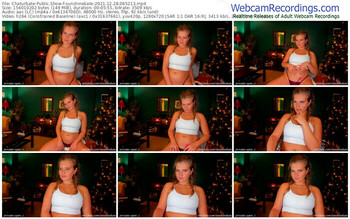 chaturbate-sunshinekate-12_28_2021-06_52_13