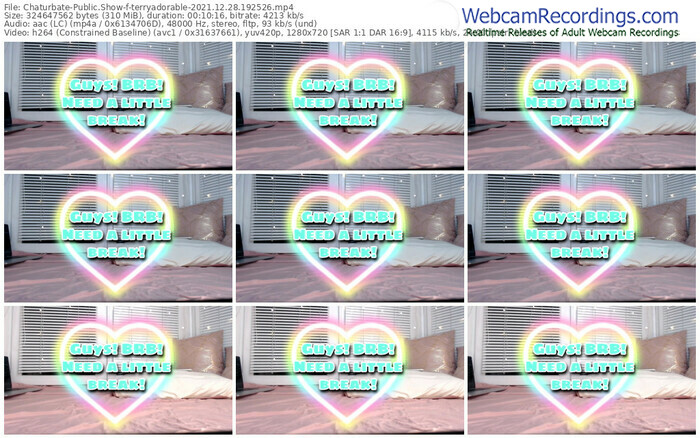 chaturbate-terryadorable-12_28_2021-19_25_26