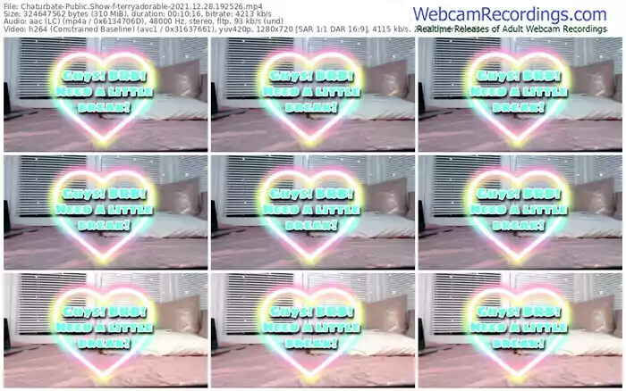 chaturbate-terryadorable-12_28_2021-19_25_26