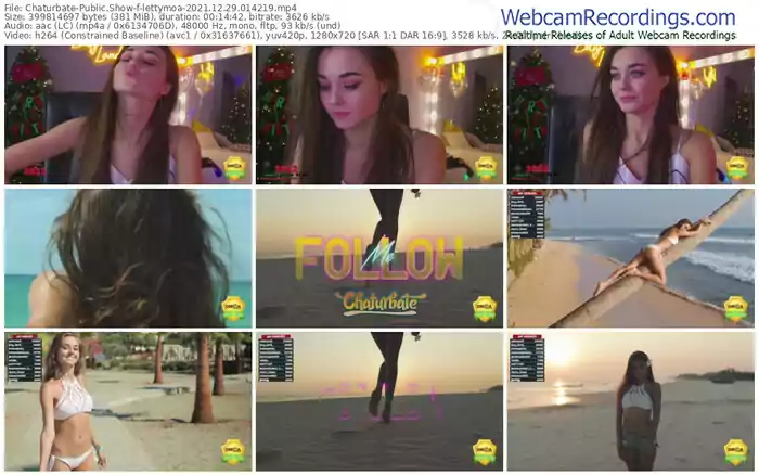 chaturbate-lettymoa-12_29_2021-01_42_19
