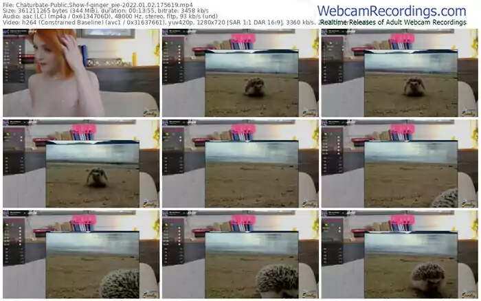 chaturbate-ginger_pie-01_02_2022-17_56_19