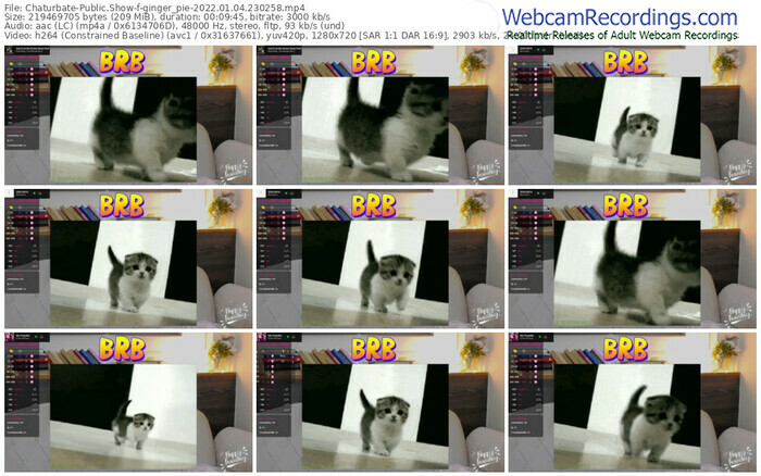 chaturbate-ginger_pie-01_04_2022-23_02_58