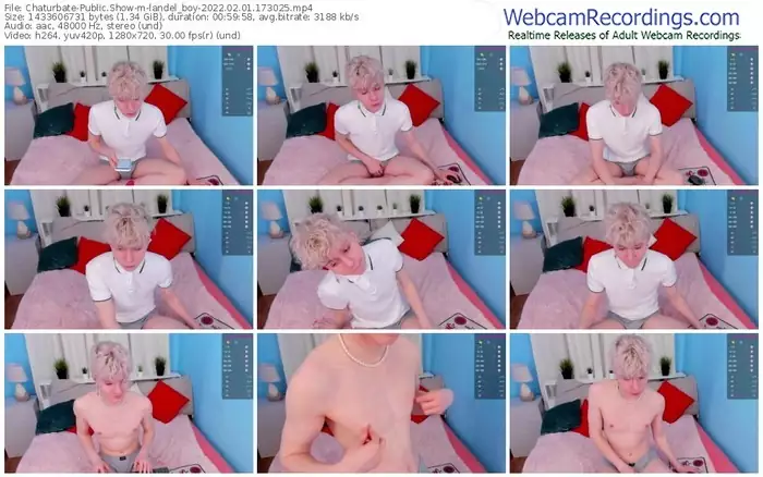 chaturbate-landel_boy-02_01_2022-17_30_25