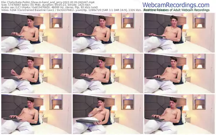 chaturbate-harol_and_jerry-02_03_2022-04_24_47