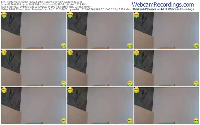 chaturbate-sofia_sakura-02_04_2022-07_26_37