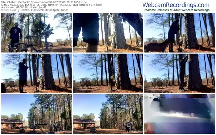 chaturbate-nivea999-02_09_2022-21_46_53