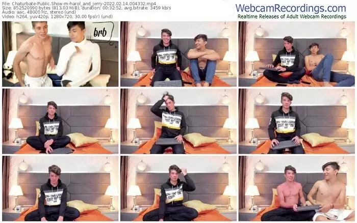 chaturbate-harol_and_jerry-02_14_2022-00_43_32