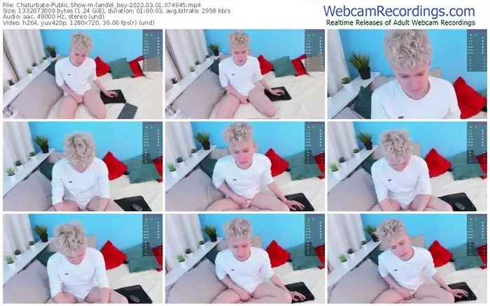 chaturbate-landel_boy-03_01_2022-07_49_45