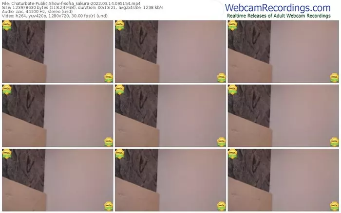 chaturbate-sofia_sakura-03_14_2022-09_51_54