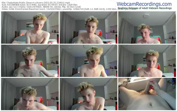 chaturbate-viksons-03_15_2022-21_46_12