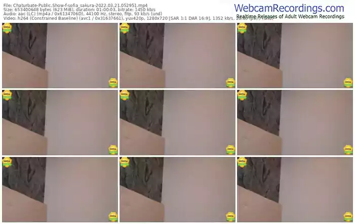 chaturbate-sofia_sakura-03_21_2022-05_29_51