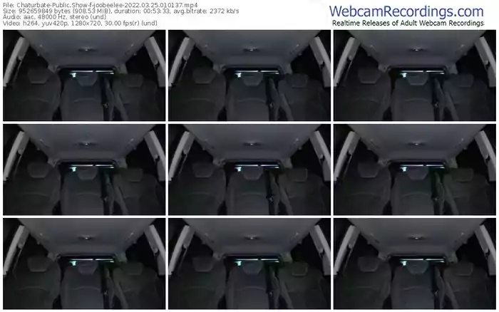 chaturbate-joobeelee-03_25_2022-01_01_37