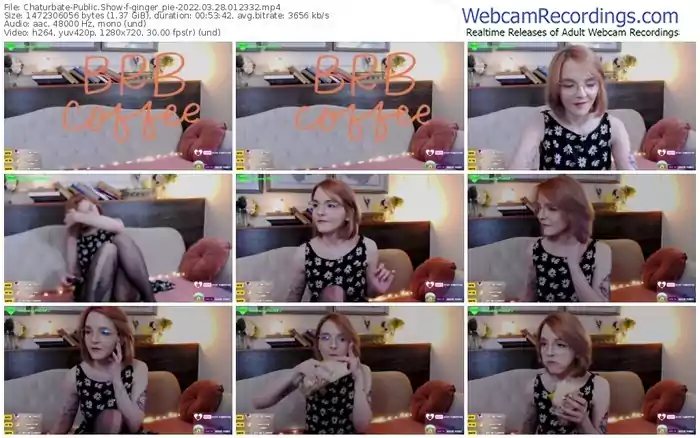 chaturbate-ginger_pie-03_28_2022-01_23_32