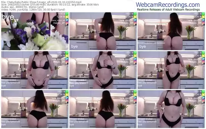 chaturbate-magic_elf-03_30_2022-22_20_50