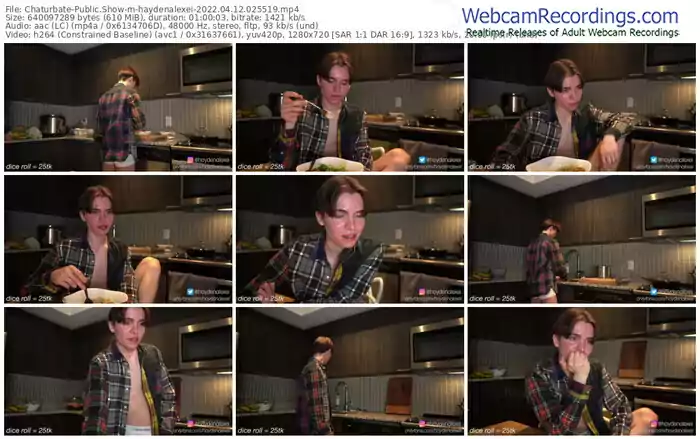 chaturbate-haydenalexei-04_12_2022-02_55_19