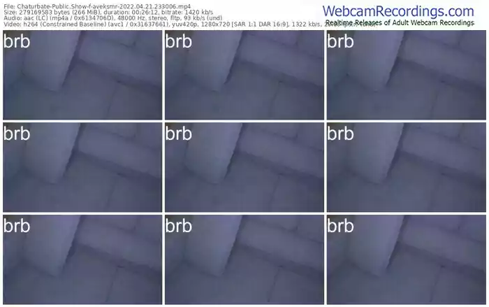 chaturbate-aveksmr-04_21_2022-23_30_06