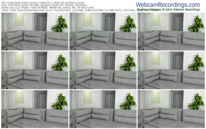 chaturbate-hotfucks_1-04-28-2022-08-12-13