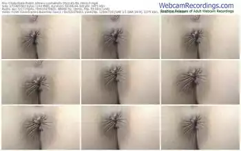 chaturbate-sashabulls-05-03-2022-19-03-17