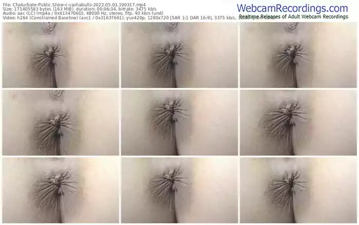 chaturbate-sashabulls-05-03-2022-19-03-17