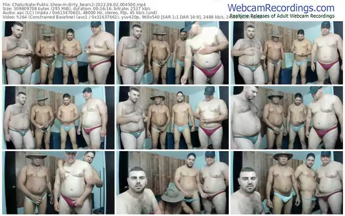 chaturbate-dirty_bears2-06-02-2022-00-45-00